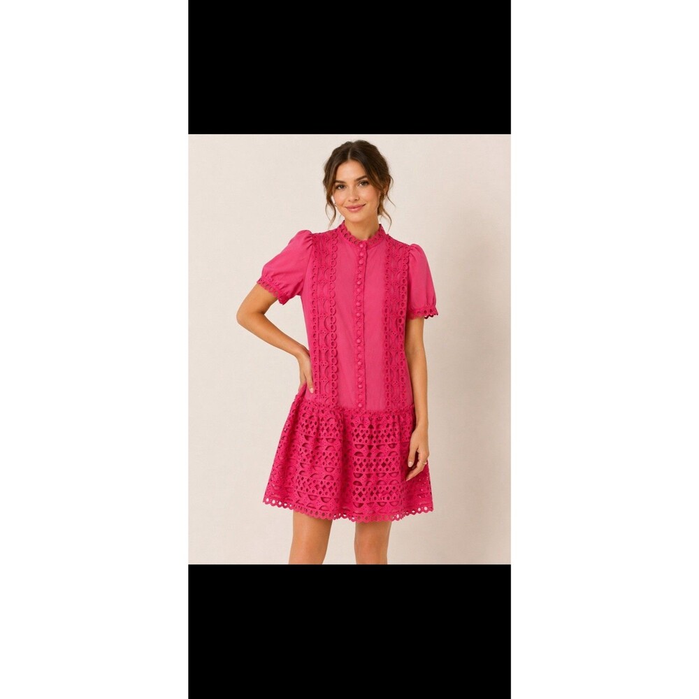 Women’s Pink Eyelet Lace Drop Waist Mini Dress Puff Sleeve High Neck Cottagecore